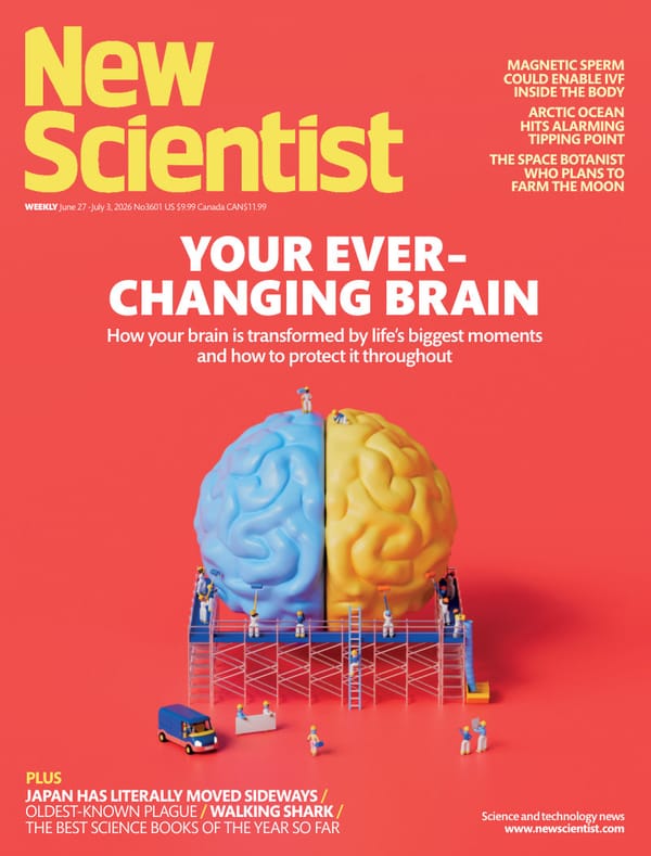 《新科学家》2026 年 6 月 27 日刊封面,以"YOUR EVER-CHANGING BRAIN"为主视觉,呈现一颗被左右切开的蓝黄双色大脑,周围有工人、梯子、卡车在"施工改造