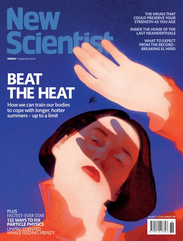 《新科学家》第3611期:应对越来越炎热的夏天